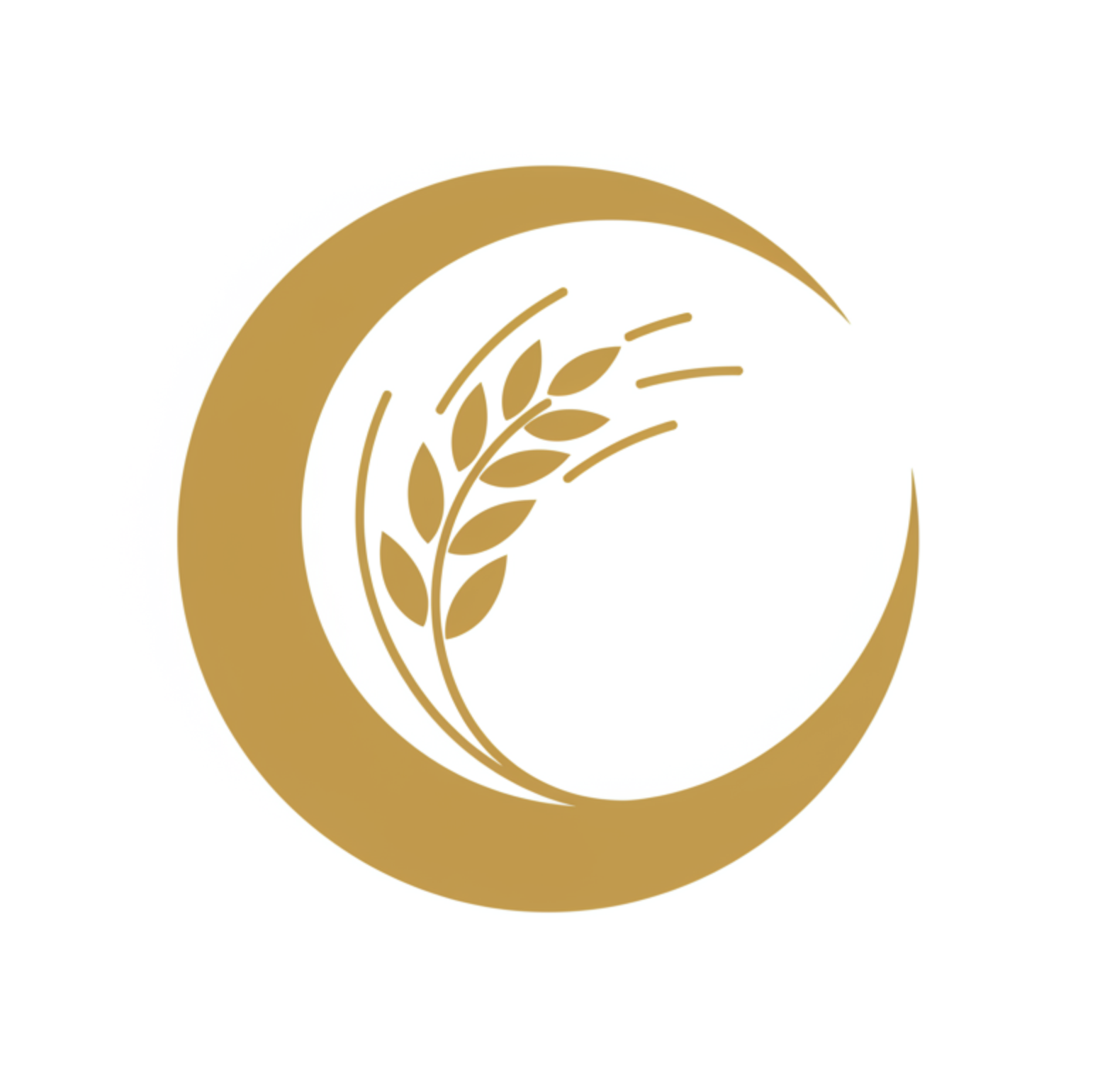 Omneity Labs Logo